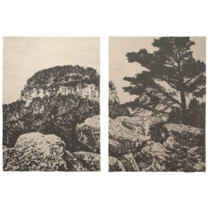 Pilot Mountain (Pre-Order)